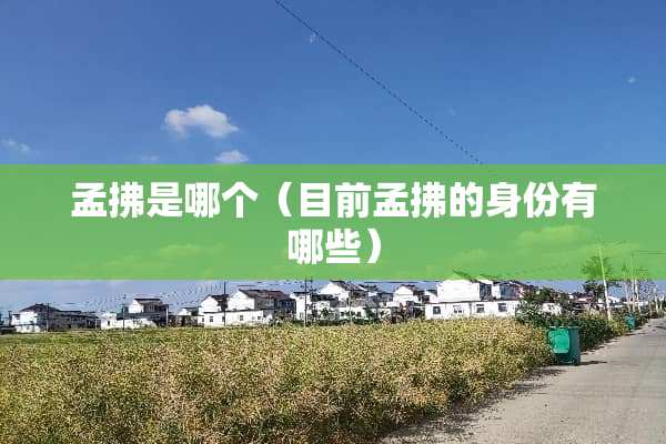 孟拂是哪个（目前孟拂的身份有哪些）