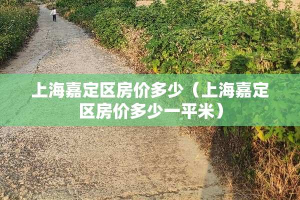 上海嘉定区房价多少（上海嘉定区房价多少一平米）