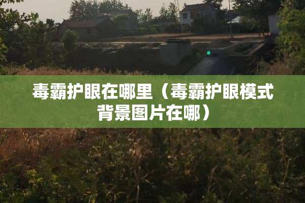 毒霸护眼在哪里（毒霸护眼模式背景图片在哪）