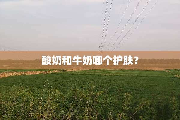 酸奶和牛奶哪个护肤？