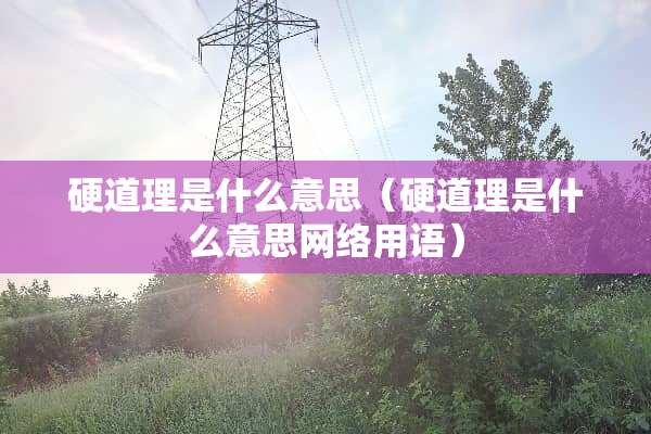 硬道理是什么意思（硬道理是什么意思网络用语）