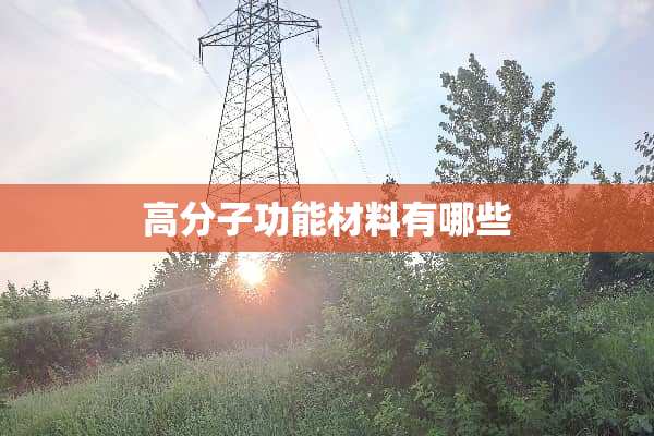 高分子功能材料有哪些