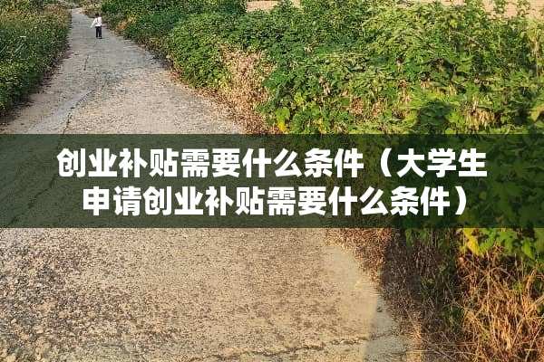 创业补贴需要什么条件（大学生申请创业补贴需要什么条件）