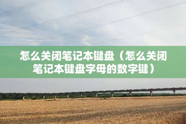 怎么关闭笔记本键盘（怎么关闭笔记本键盘字母的数字键）