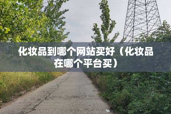 化妆品到哪个网站买好（化妆品在哪个平台买）