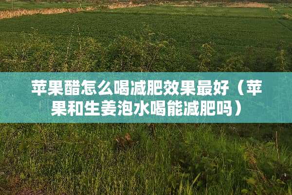 苹果醋怎么喝减肥效果最好（苹果和生姜泡水喝能减肥吗）