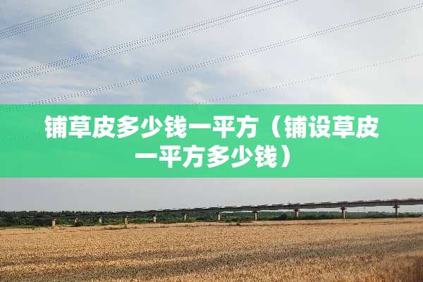 铺草皮多少钱一平方（铺设草皮一平方多少钱）