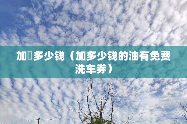 加坲多少钱（加多少钱的油有免费洗车券）