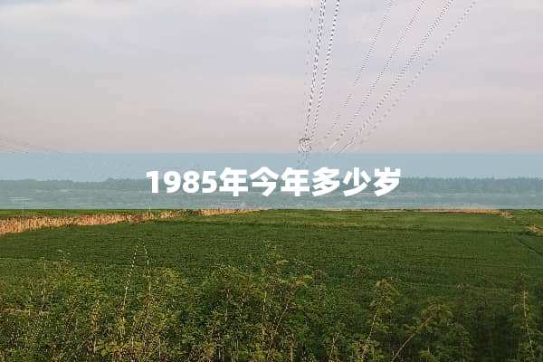 1985年今年多少岁
