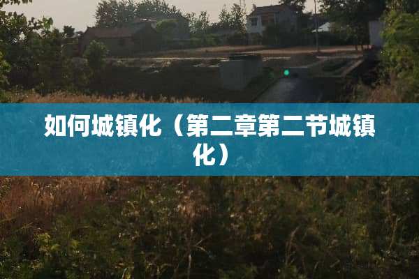 如何城镇化（第二章第二节城镇化）