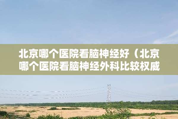 北京哪个医院看脑神经好（北京哪个医院看脑神经外科比较权威）