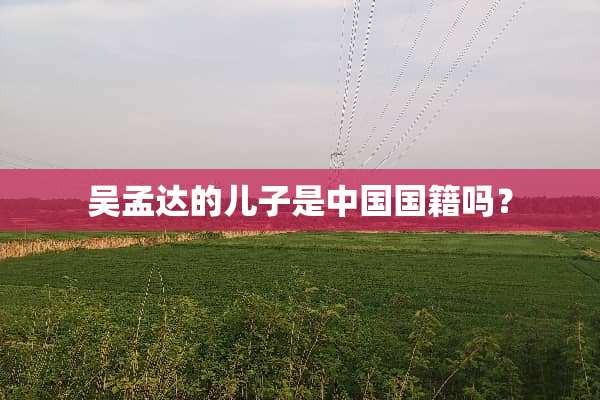 吴孟达的儿子是中国国籍吗？