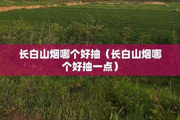 长白山烟哪个好抽（长白山烟哪个好抽一点）