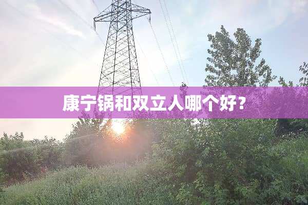 康宁锅和双立人哪个好？