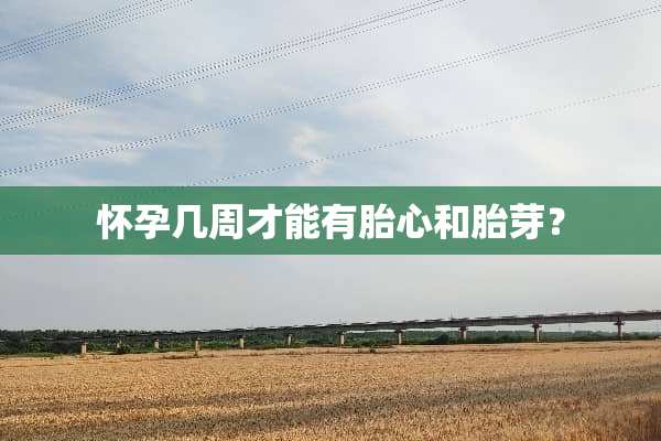 怀孕几周才能有胎心和胎芽？