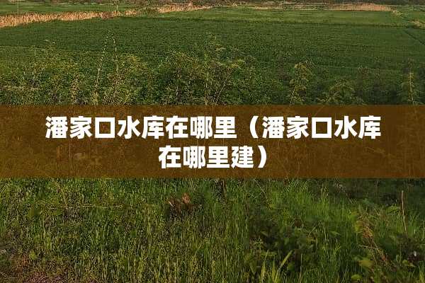 潘家口水库在哪里（潘家口水库在哪里建）