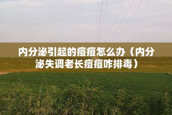 内分泌引起的痘痘怎么办（内分泌失调老长痘痘咋排毒）