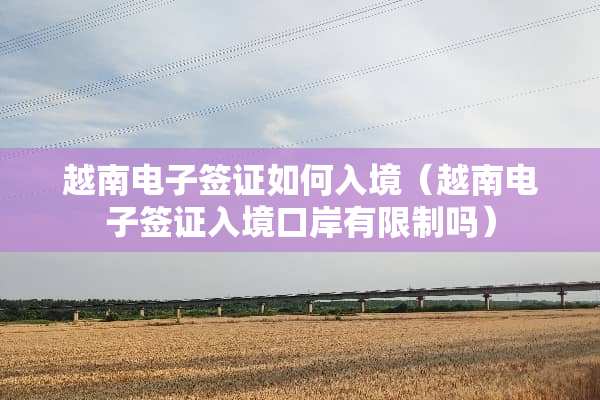 越南电子签证如何入境（越南电子签证入境口岸有限制吗）