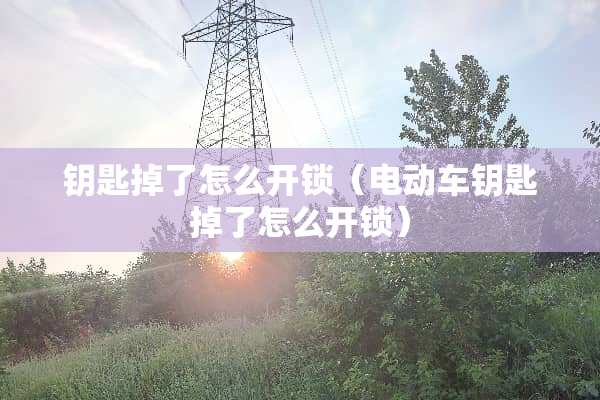 钥匙掉了怎么**（电动车钥匙掉了怎么**）