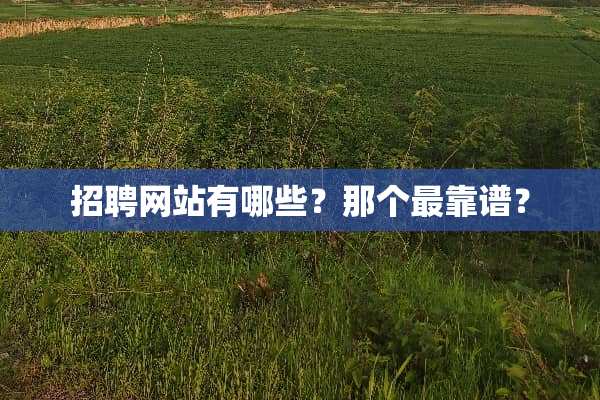 招聘网站有哪些？那个最靠谱？