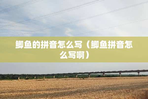 鲫鱼的拼音怎么写（鲫鱼拼音怎么写啊）