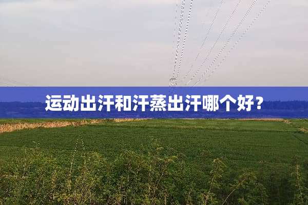 运动出汗和汗蒸出汗哪个好？
