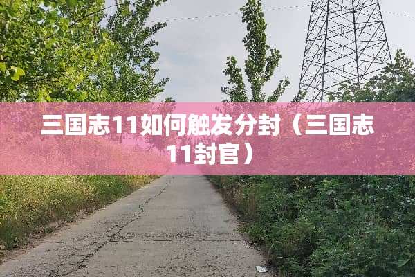 三国志11如何触发分封（三国志11封官）