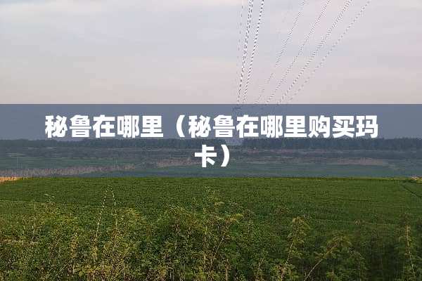秘鲁在哪里（秘鲁在哪里购买玛卡）