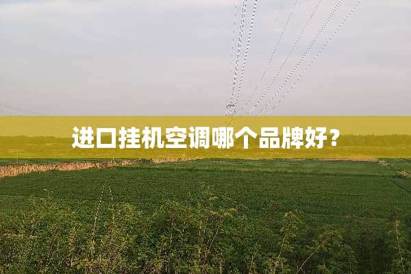 进口挂机空调哪个品牌好？