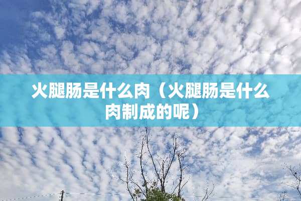 火腿肠是什么肉（火腿肠是什么肉制成的呢）
