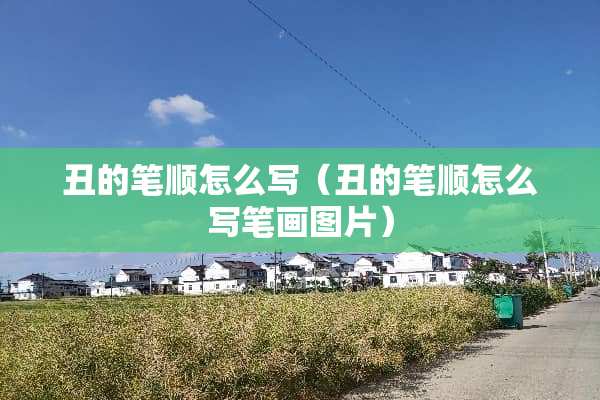 丑的笔顺怎么写（丑的笔顺怎么写笔画图片）