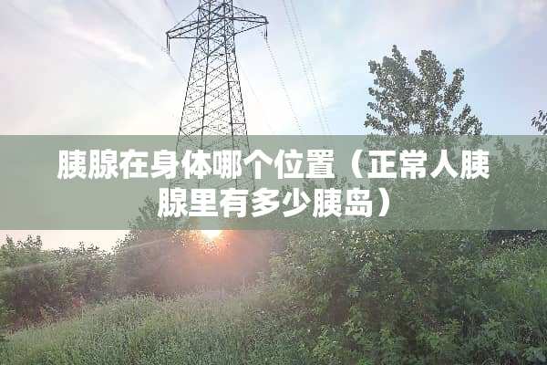 胰腺在身体哪个位置（正常人胰腺里有多少胰岛）