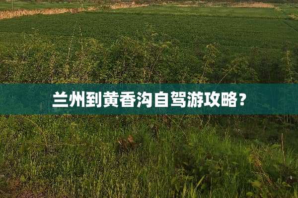 兰州到黄香沟自驾游攻略？