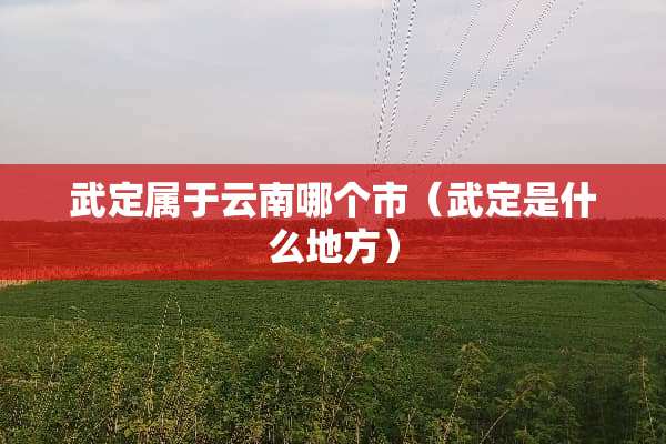 武定属于云南哪个市（武定是什么地方）