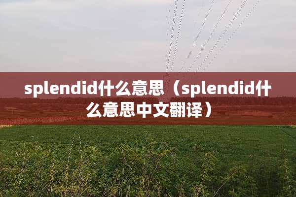 splendid什么意思（splendid什么意思中文翻译）