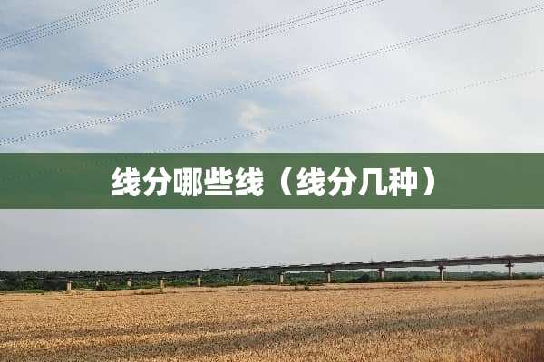 线分哪些线（线分几种）
