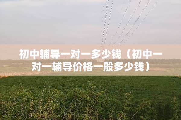 初中辅导一对一多少钱（初中一对一辅导价格一般多少钱）