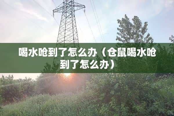 喝水呛到了怎么办（仓鼠喝水呛到了怎么办）