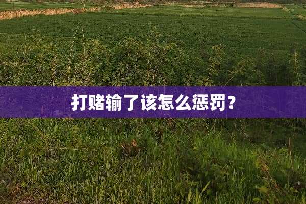 打赌输了该怎么惩罚？