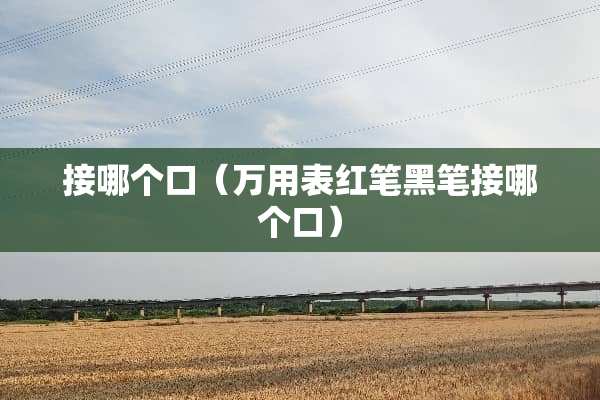 接哪个口（万用表红笔黑笔接哪个口）
