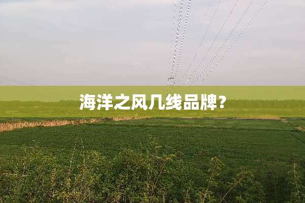 海洋之风几线品牌？