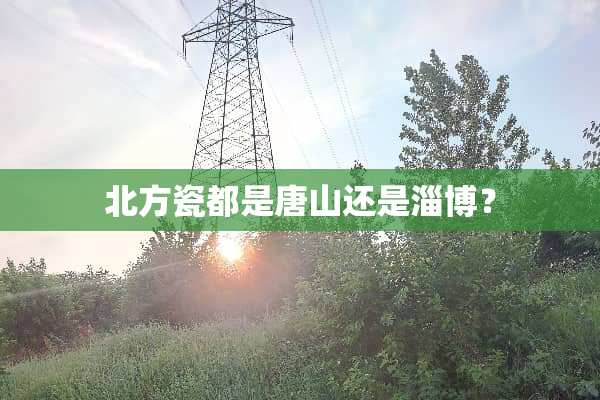 北方瓷都是唐山还是淄博？