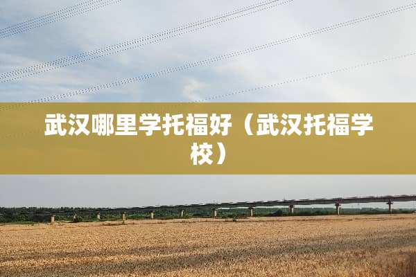 武汉哪里学托福好（武汉托福学校）