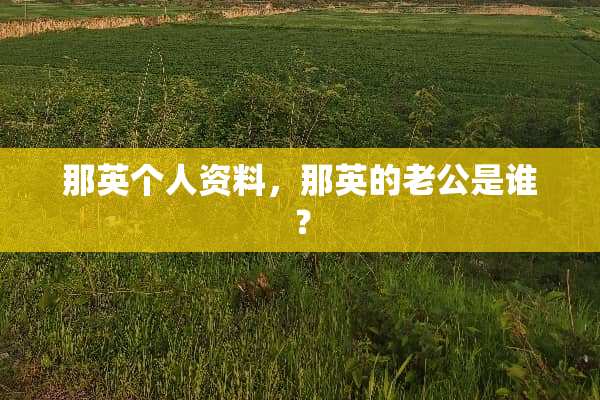 那英个人资料，那英的老公是谁？