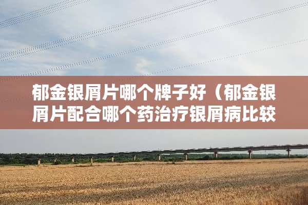 郁金银屑片哪个牌子好（郁金银屑片配合哪个药治疗银屑病比较好）