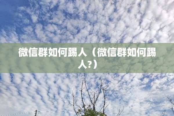 微信群如何踢人（微信群如何踢人?）