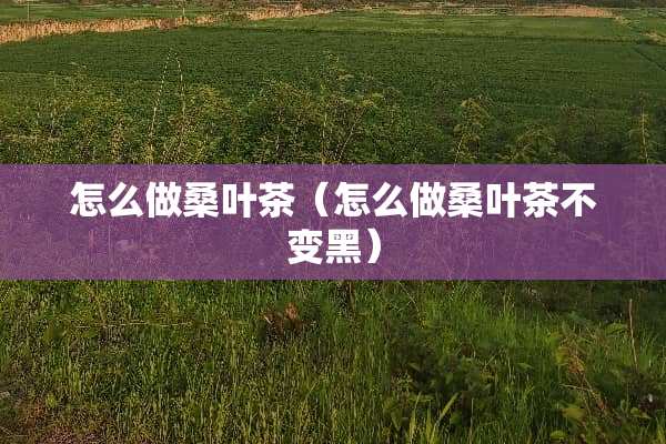 怎么做桑叶茶（怎么做桑叶茶不变黑）