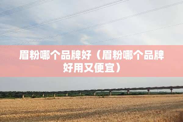 眉粉哪个品牌好（眉粉哪个品牌好用又便宜）