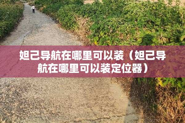 妲己导航在哪里可以装（妲己导航在哪里可以装***）