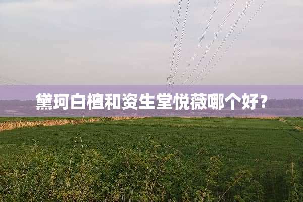 黛珂白檀和资生堂悦薇哪个好？